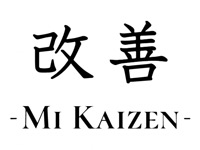 Mi Kaizen