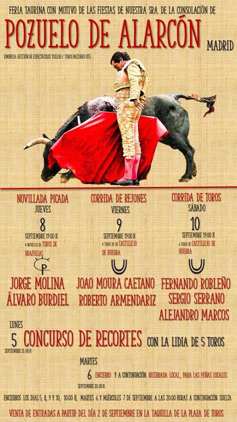 Toros