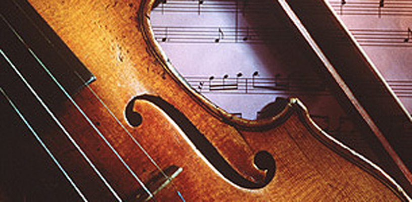 Violín