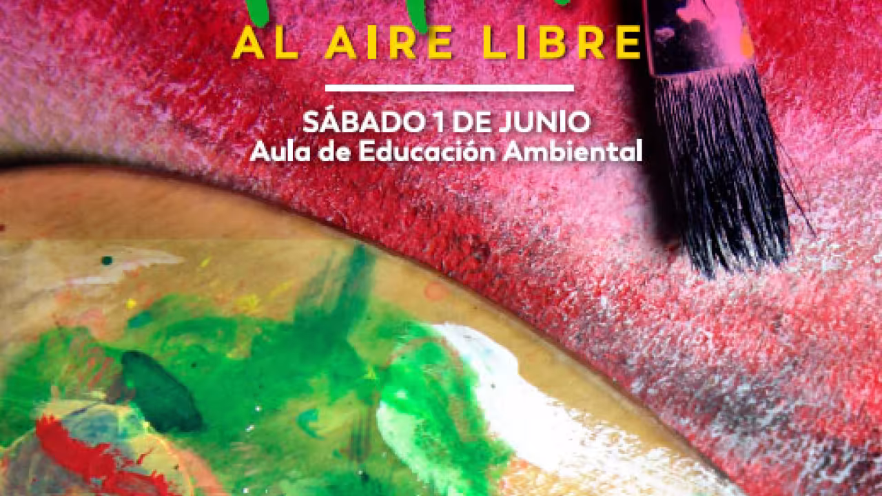 II Concurso de pintura rápida