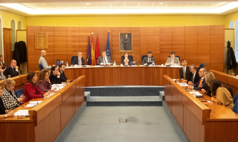 Pleno del mes de febrero