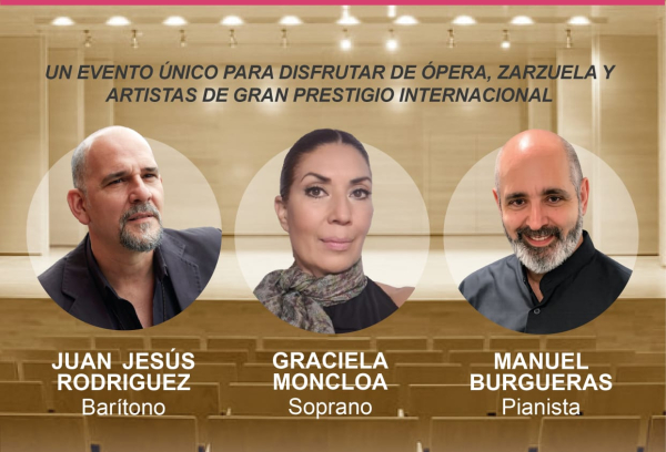 Cartel Concierto solidario AMASUVE